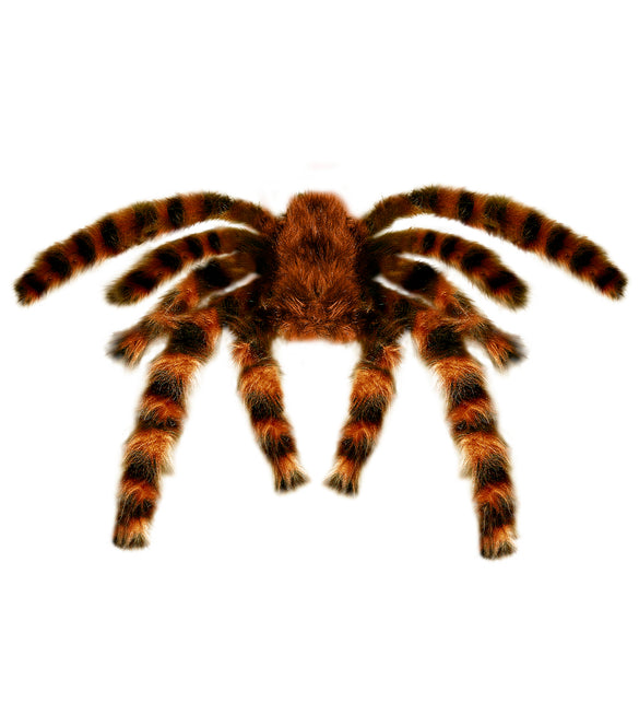 Widmann SRL Nep Tarantula spin met haren 65cm