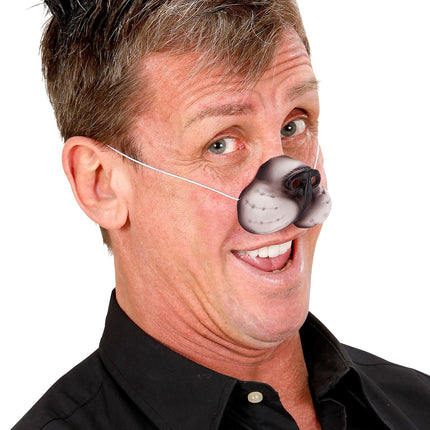 Widmann SRL Neus kat