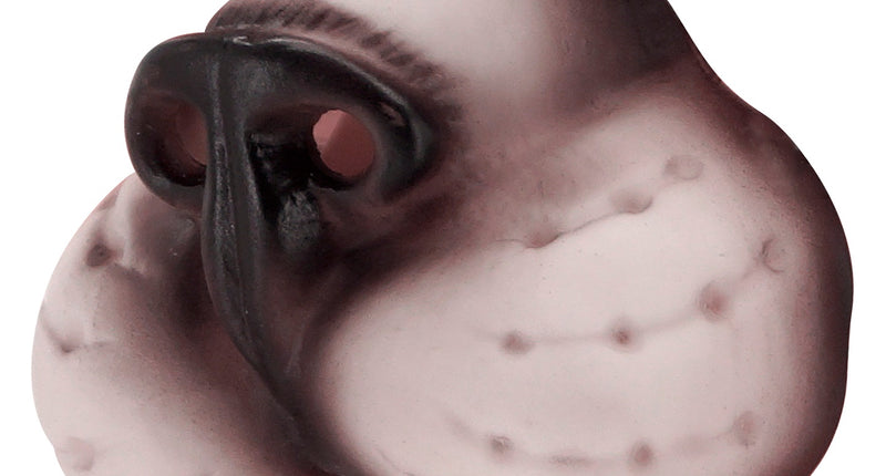 Widmann SRL Neus kat