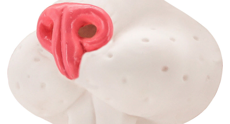 Widmann SRL Neus konijn