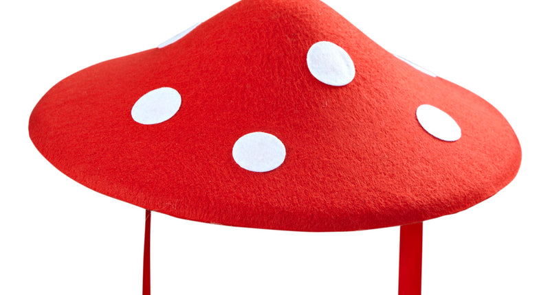 Widmann SRL Paddenstoel Hoed Vilt