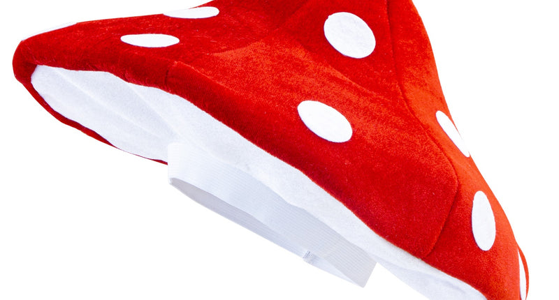 Widmann SRL Paddestoelen muts kabouter