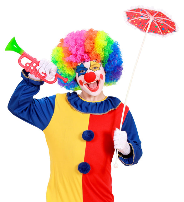 Widmann SRL Pruik Clown Multikleuren