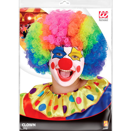 Widmann SRL Pruik Clown Multikleuren