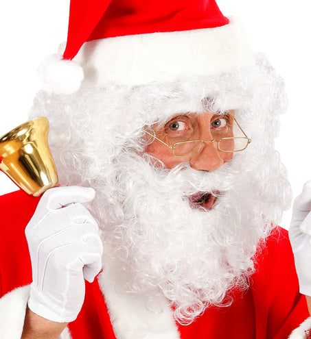 Widmann SRL pruik karakter met krullen en baard wit