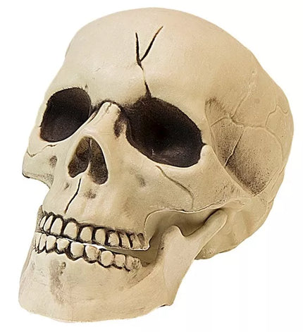 Widmann SRL Pvc schedel met beweegbare kaak 21cm kostuum Julia