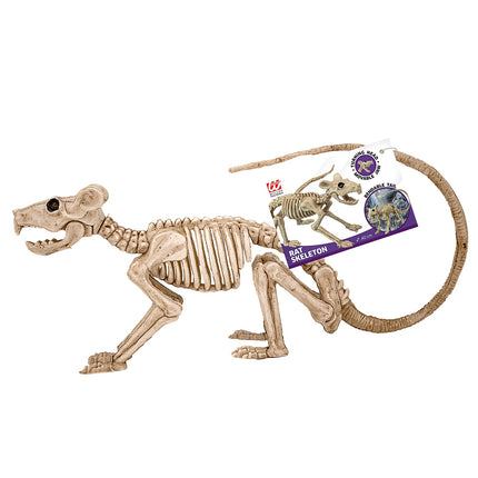 Widmann SRL Ratten skelet