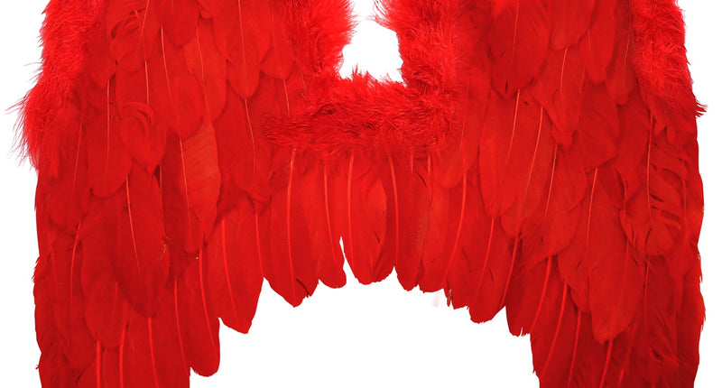 Widmann SRL Rode vleugels met marabou en glitters