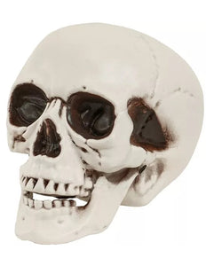 Widmann SRL Schedel met beweegbare kaak 12cm Mees