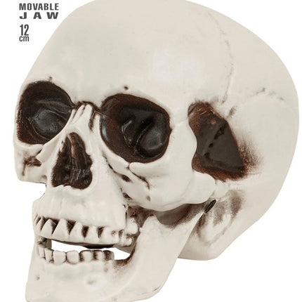 Widmann SRL Schedel met beweegbare kaak 12cm Mees