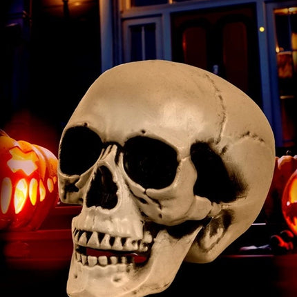 Widmann SRL Schedel met beweegbare kaak 28cm Evi