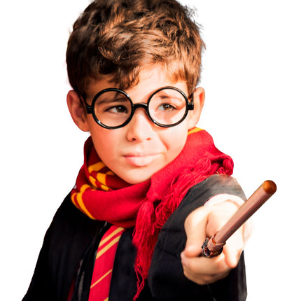 Widmann SRL Set tovenaarsleerling Harvard