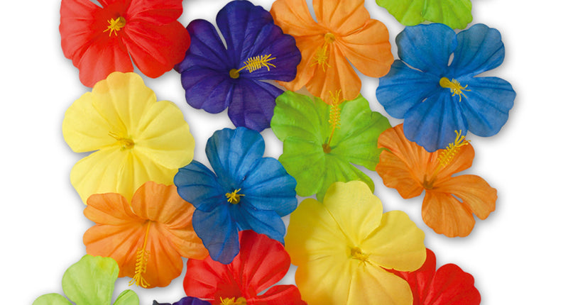 Widmann SRL Set van 18 hibiscus bloemen