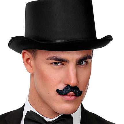 Widmann SRL Set van 6 plak snorren zwart