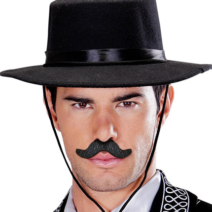 Widmann SRL Set van 6 plak snorren zwart