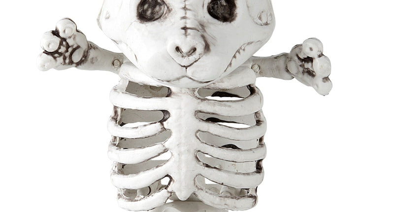 Widmann SRL Skelet teddybeer 15cm