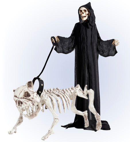 Widmann SRL Skelet van een hond