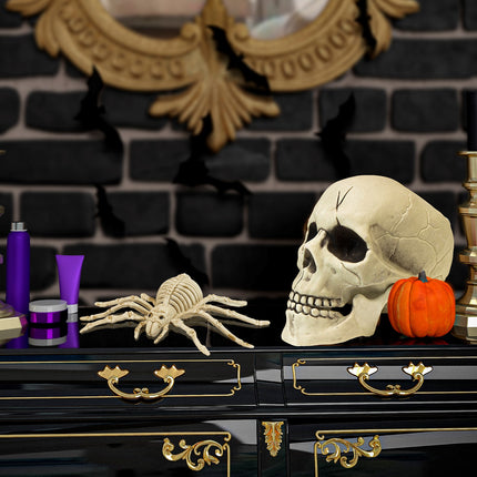 Widmann SRL Spinnen skelet