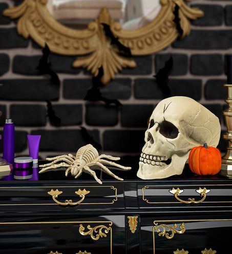 Widmann SRL Spinnen skelet