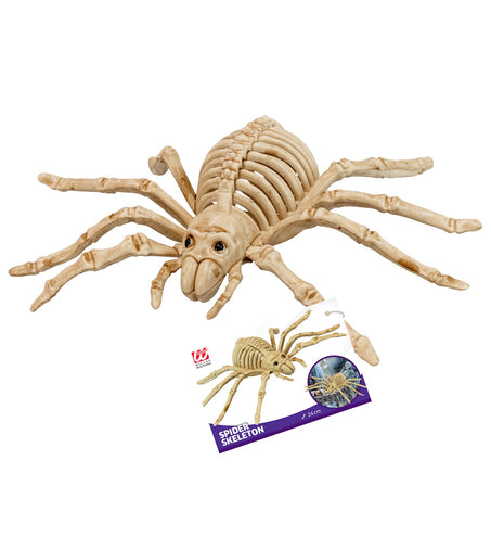 Widmann SRL Spinnen skelet