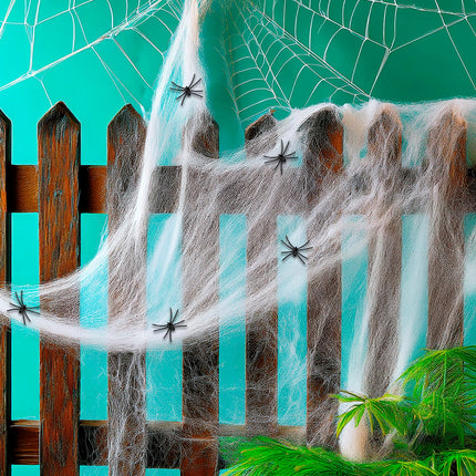 Widmann SRL Spinnenweb 100 gram met 5 spinnen