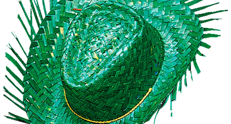 Widmann SRL Strohoed groen Rens