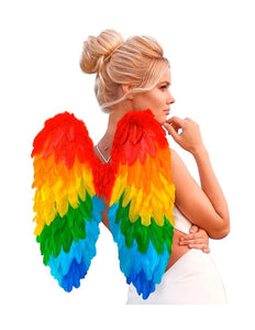 Widmann SRL Veren vleugels regenboog opvouwbaar 50 x 50cm Thijs