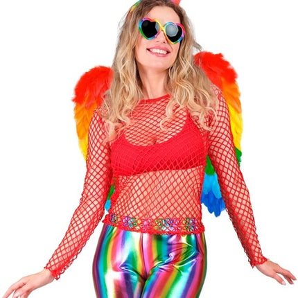 Widmann SRL Veren vleugels regenboog opvouwbaar 50 x 50cm Thijs