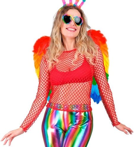 Widmann SRL Veren vleugels regenboog opvouwbaar 50 x 50cm Thijs