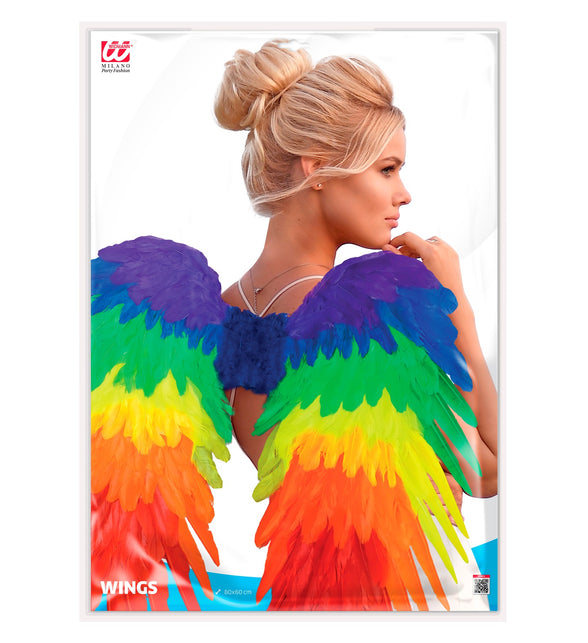 Widmann SRL Veren vleugels regenboog opvouwbaar 80x60 cm
