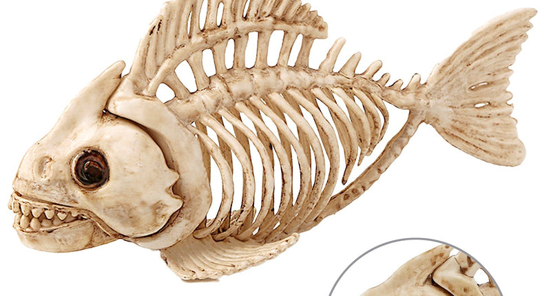 Widmann SRL Vissen skelet