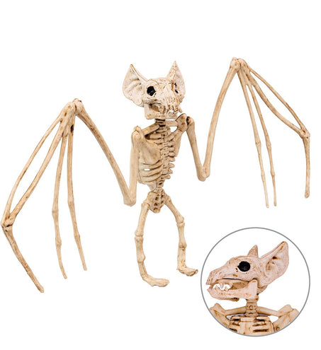 Widmann SRL Vleermuis skelet