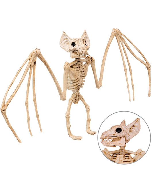 Widmann SRL Vleermuis skelet