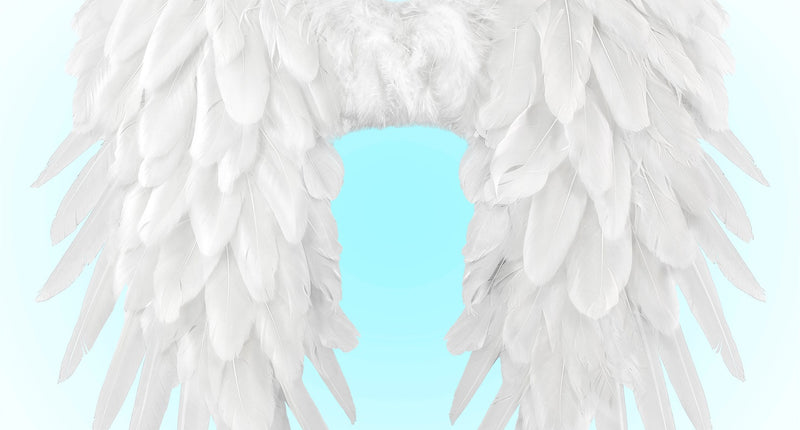 Widmann SRL Vleugels wit