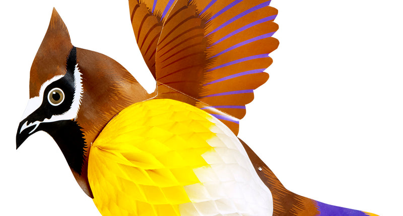 Widmann SRL Vogel decoratie van papier