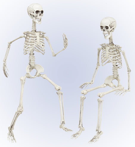 Widmann SRL Vorm baar skelet Halloween