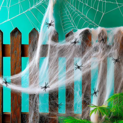 Widmann SRL Wit spinnenweb met negen spinnen