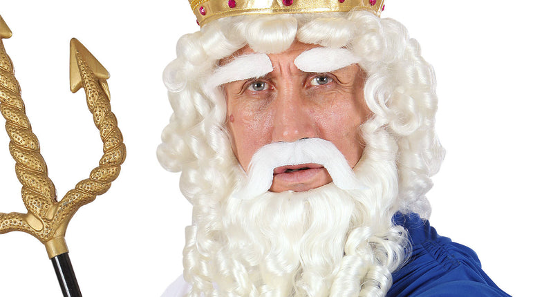 Widmann SRL Zeus pruik Olympische god compleet