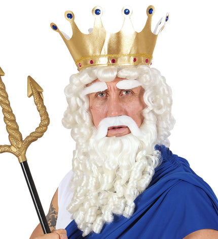 Widmann SRL Zeus pruik Olympische god compleet