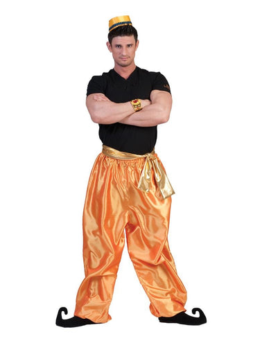 Funny Fashion Arabische Sultan broek goud heren