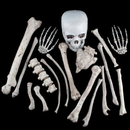 Funny Fashion Botten in zak 18 stuks