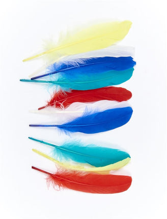 Funny Fashion Gekleurde veren indiaan