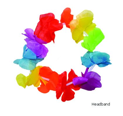 Funny Fashion Hawaii hoofdband met bloemen