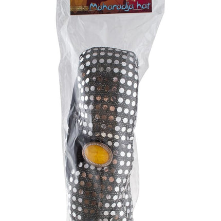 Funny Fashion Hoed Maharadja Anand