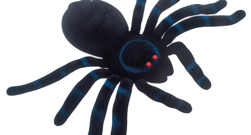 Funny Fashion Nep zwarte spin