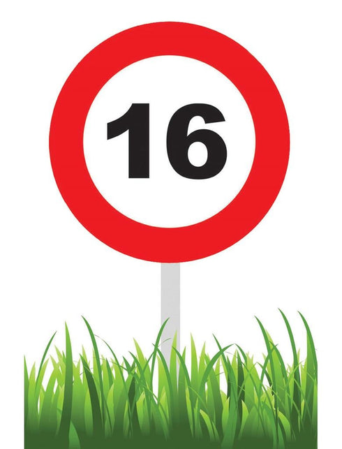 Funny Fashion Party tuinbord 16 jaar