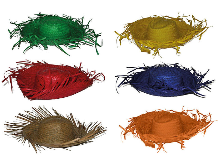 Funny Fashion Rode strohoed Aloha