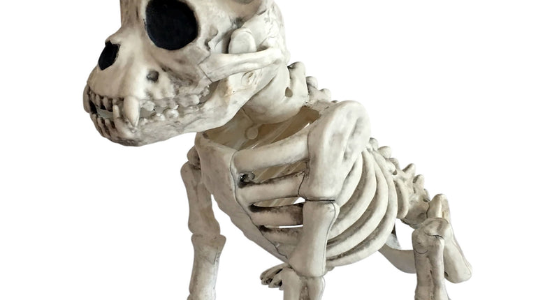 Funny Fashion Skelet hond 28cm