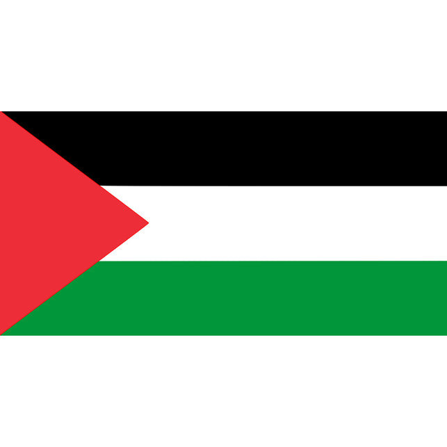 Funny Fashion Vlag Palestina 90x150cm