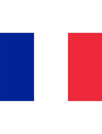 Funny Fashion Vlag XL 436x350cm Frankrijk